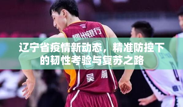 辽宁省疫情新动态，精准防控下的韧性考验与复苏之路