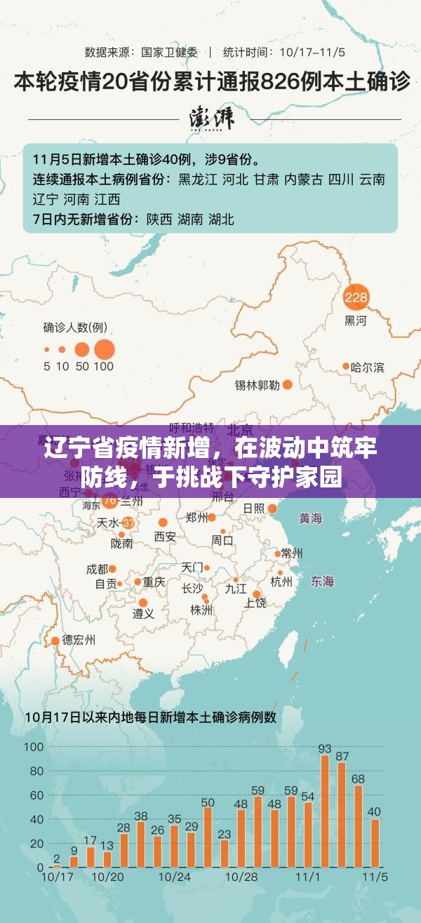 辽宁省疫情新增，在波动中筑牢防线，于挑战下守护家园