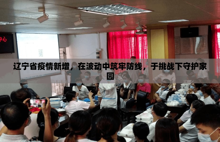 辽宁省疫情新增，在波动中筑牢防线，于挑战下守护家园