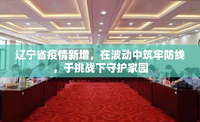 辽宁省疫情新增，在波动中筑牢防线，于挑战下守护家园