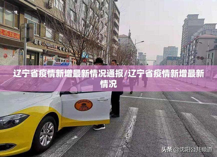 辽宁省疫情新增最新情况通报/辽宁省疫情新增最新情况