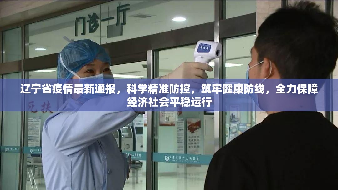 辽宁省疫情最新通报，科学精准防控，筑牢健康防线，全力保障经济社会平稳运行