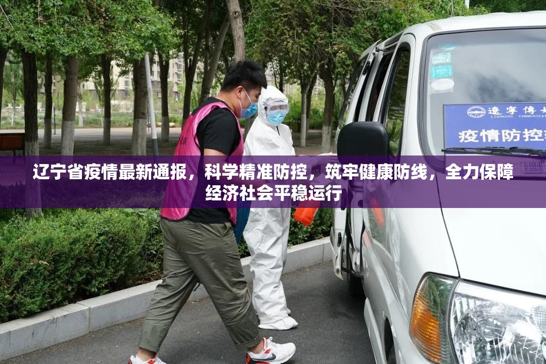 辽宁省疫情最新通报，科学精准防控，筑牢健康防线，全力保障经济社会平稳运行