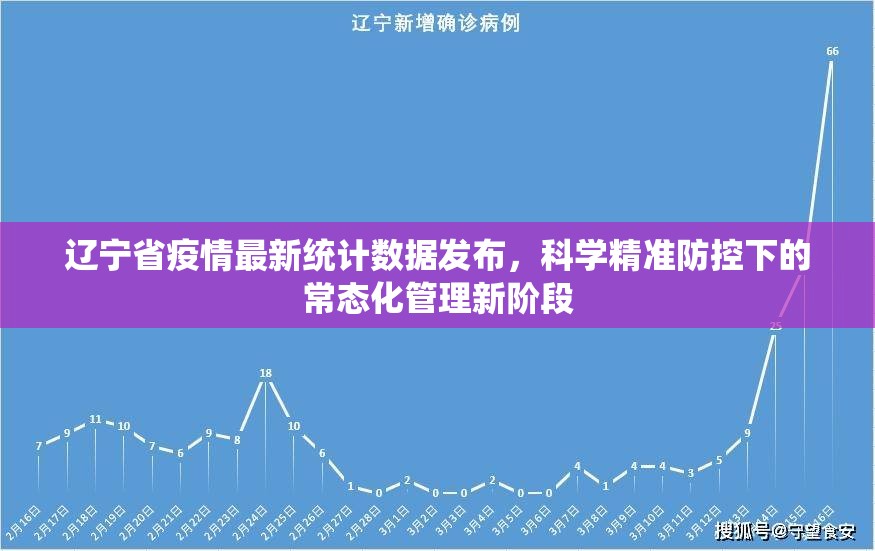 辽宁省疫情最新统计数据发布，科学精准防控下的常态化管理新阶段