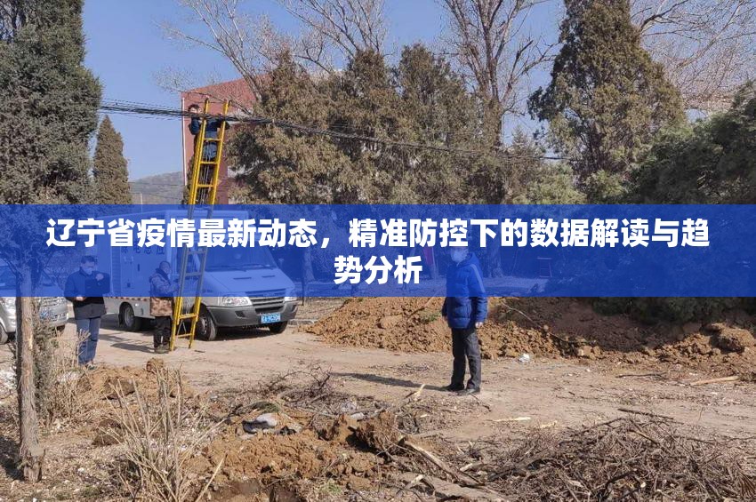 辽宁省疫情最新动态，精准防控下的数据解读与趋势分析
