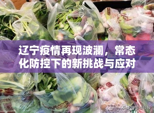 辽宁疫情再现波澜，常态化防控下的新挑战与应对