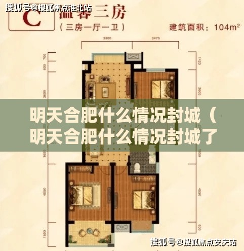 明天合肥什么情况封城（明天合肥什么情况封城了）