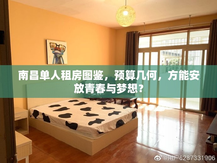 南昌单人租房图鉴，预算几何，方能安放青春与梦想？