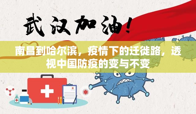 南昌到哈尔滨，疫情下的迁徙路，透视中国防疫的变与不变