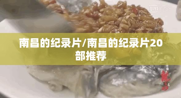 南昌的纪录片/南昌的纪录片20部推荐