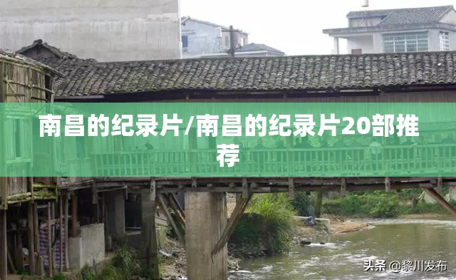 南昌的纪录片/南昌的纪录片20部推荐