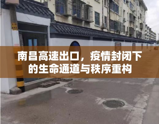 南昌高速出口，疫情封闭下的生命通道与秩序重构