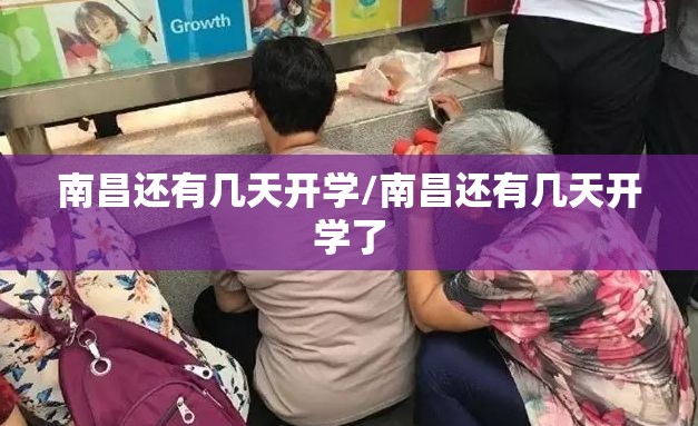 南昌还有几天开学/南昌还有几天开学了