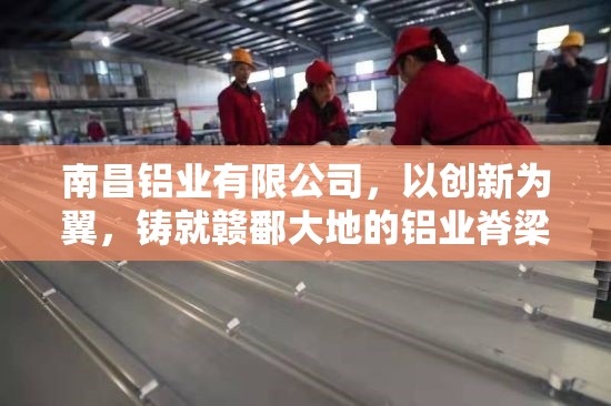 南昌铝业有限公司，以创新为翼，铸就赣鄱大地的铝业脊梁