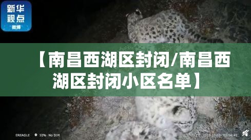 【南昌西湖区封闭/南昌西湖区封闭小区名单】