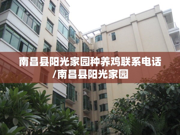 南昌县阳光家园种养鸡联系电话/南昌县阳光家园