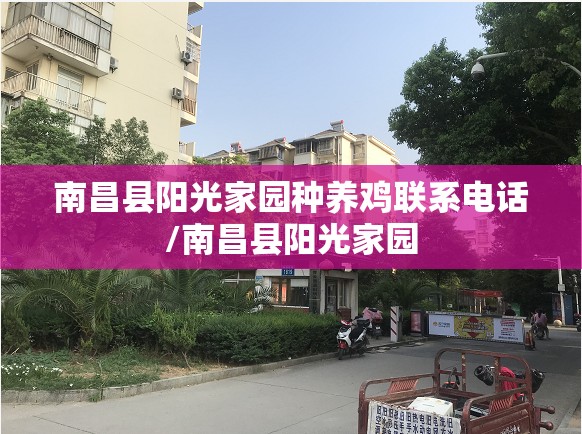 南昌县阳光家园种养鸡联系电话/南昌县阳光家园
