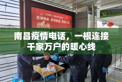 南昌疫情电话，一根连接千家万户的暖心线