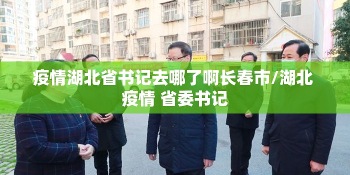 上海公布最新传染病疫情，科学防控与公共卫生体系的全面考验