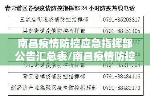 南昌疫情防控应急指挥部公告汇总表/南昌疫情防控应急指挥部公告汇总