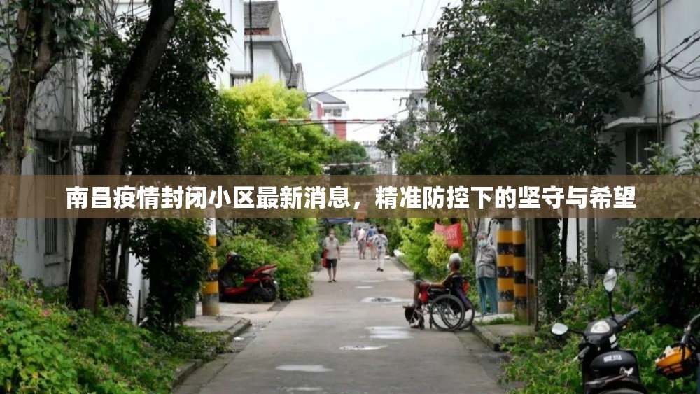 南昌疫情封闭小区最新消息，精准防控下的坚守与希望