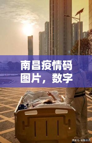 南昌疫情码图片，数字时代下的城市生存密码与人文温度