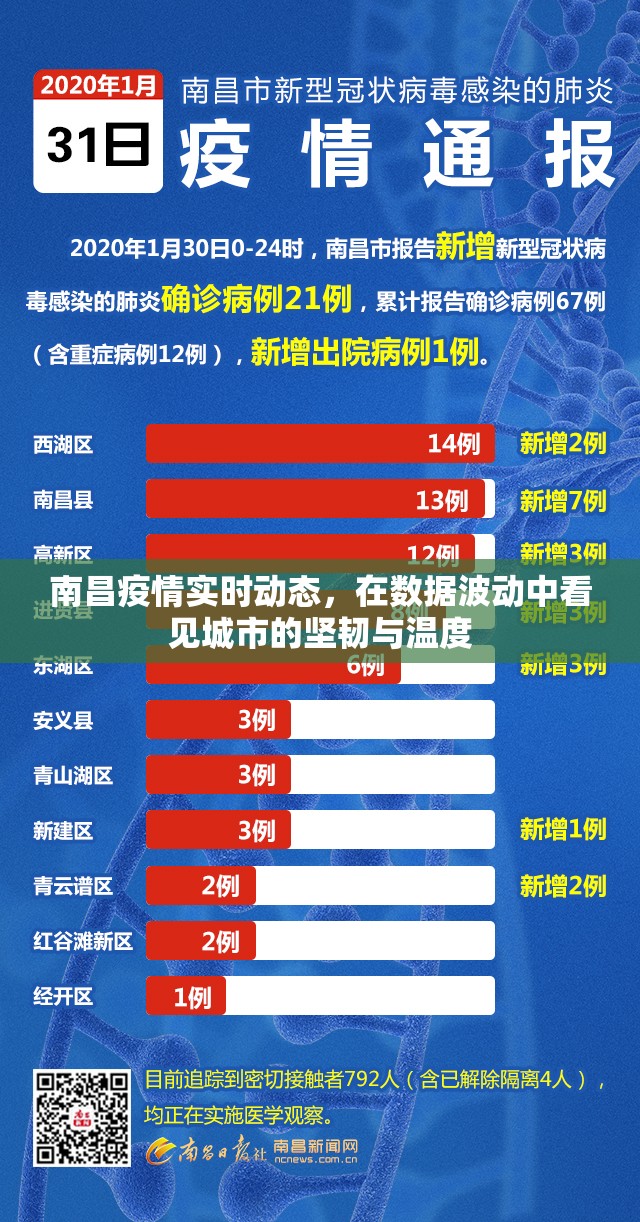 南昌疫情实时动态，在数据波动中看见城市的坚韧与温度