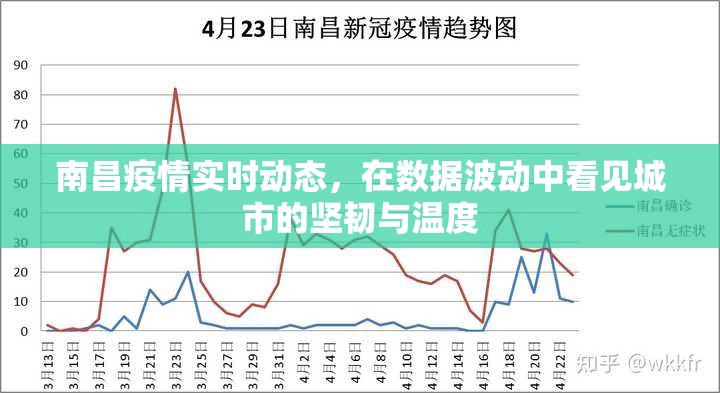 南昌疫情实时动态，在数据波动中看见城市的坚韧与温度