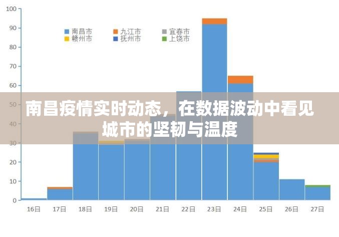 南昌疫情实时动态，在数据波动中看见城市的坚韧与温度