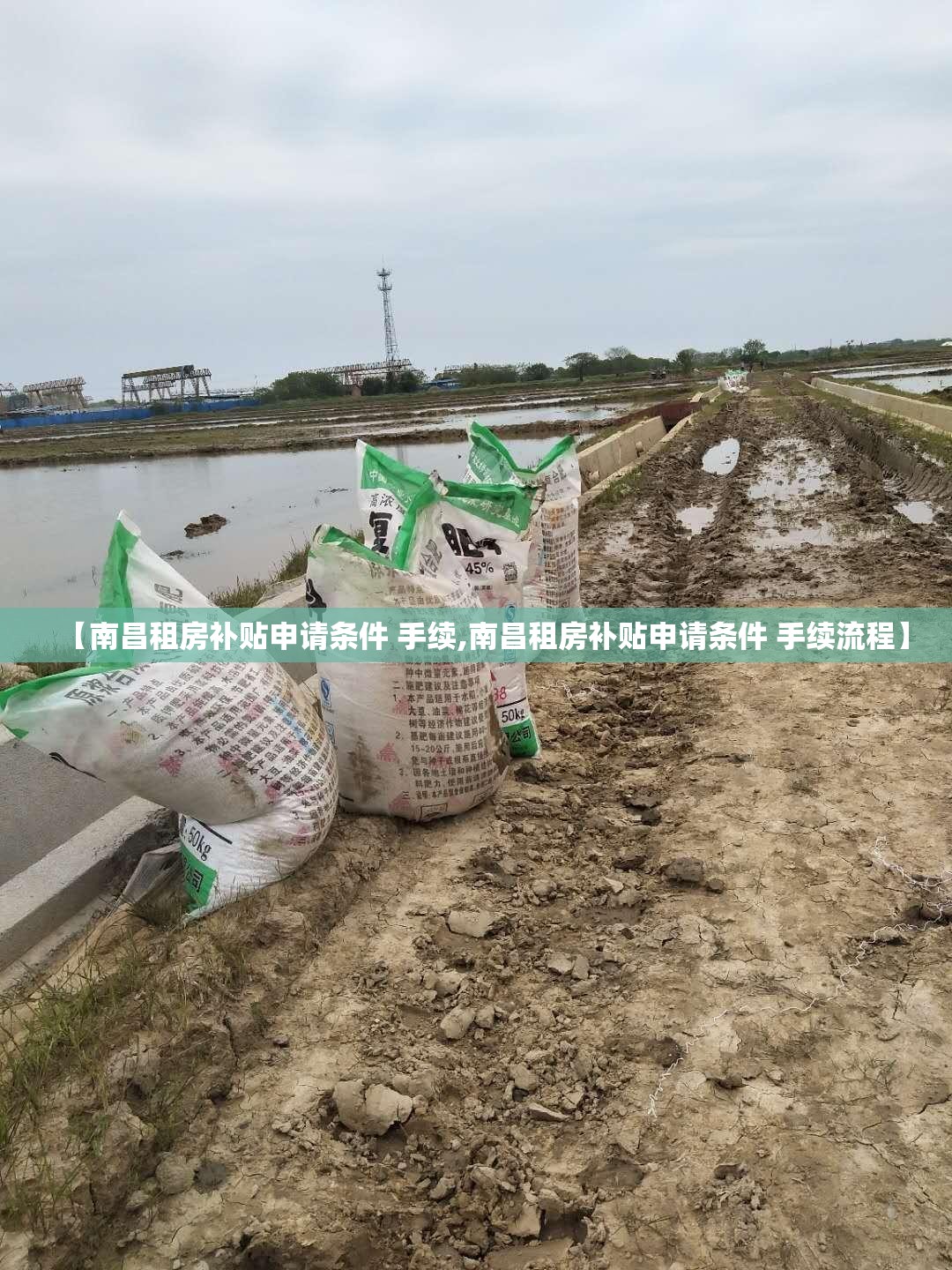 【南昌租房补贴申请条件 手续,南昌租房补贴申请条件 手续流程】