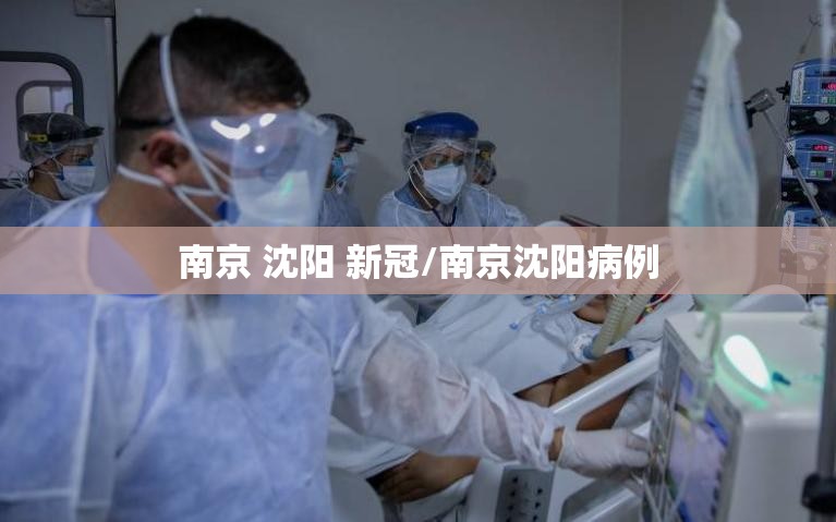 南京 沈阳 新冠/南京沈阳病例