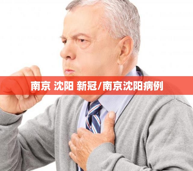 南京 沈阳 新冠/南京沈阳病例