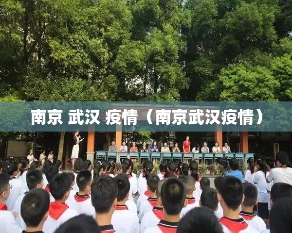 南京 武汉 疫情（南京武汉疫情）