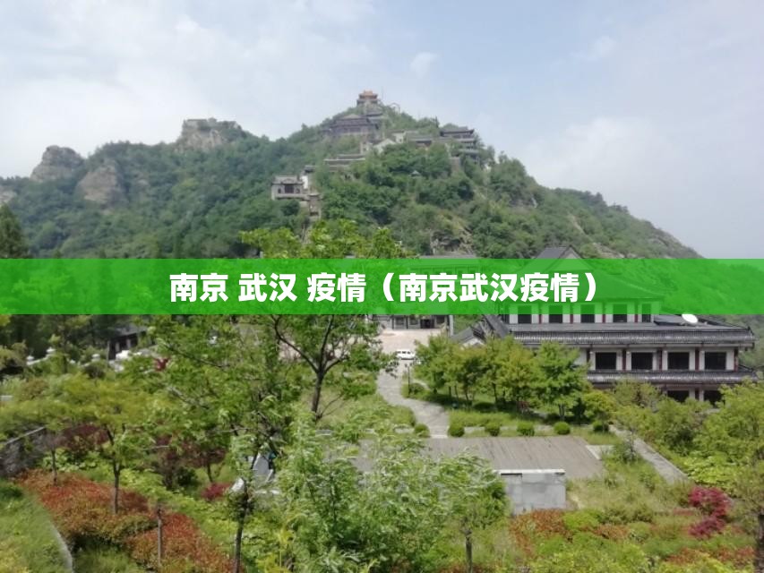 南京 武汉 疫情（南京武汉疫情）