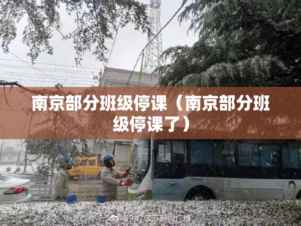 南京部分班级停课（南京部分班级停课了）