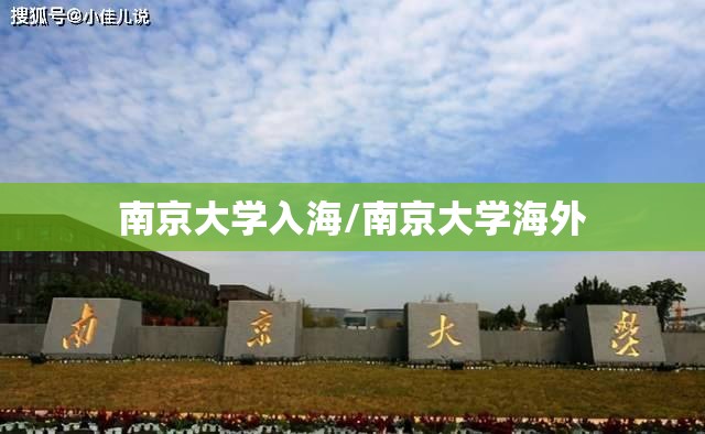 南京大学入海/南京大学海外