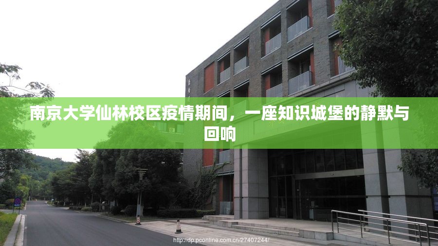 南京大学仙林校区疫情期间，一座知识城堡的静默与回响