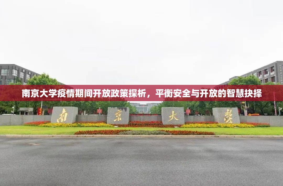 南京大学疫情期间开放政策探析，平衡安全与开放的智慧抉择