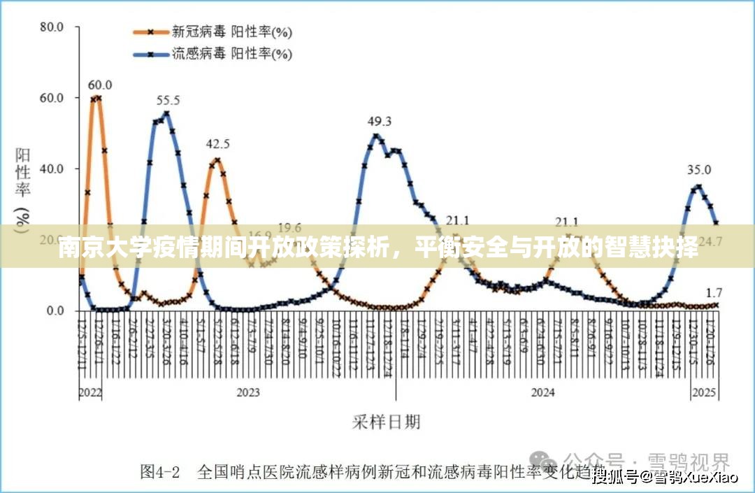南京大学疫情期间开放政策探析，平衡安全与开放的智慧抉择