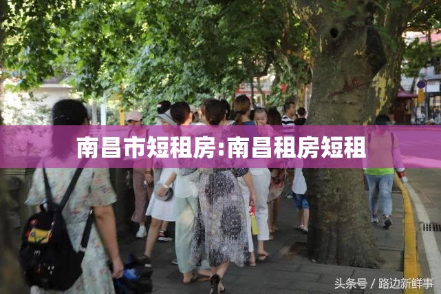 上海疫情回安徽/上海疫情回安徽最新政策