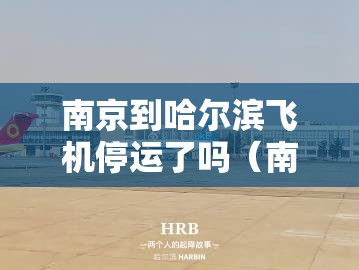 南京到哈尔滨飞机停运了吗（南京到哈尔滨飞机停运了吗今天）