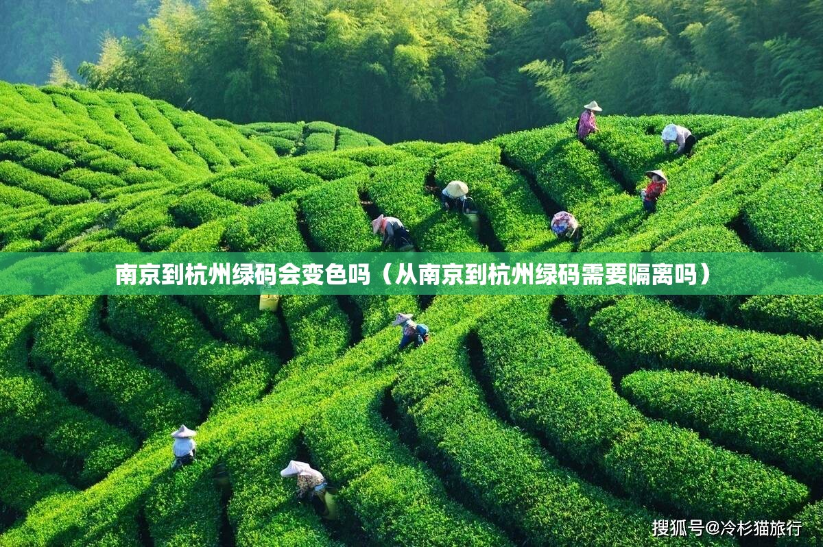 南京到杭州绿码会变色吗（从南京到杭州绿码需要隔离吗）