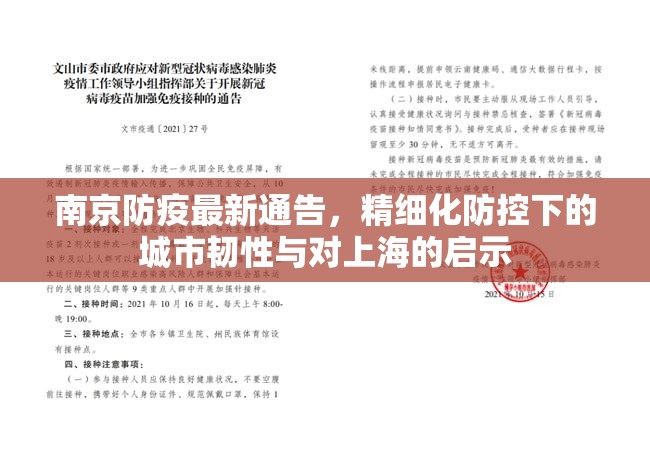 南京防疫最新通告，精细化防控下的城市韧性与对上海的启示
