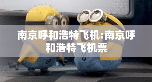 南京呼和浩特飞机:南京呼和浩特飞机票
