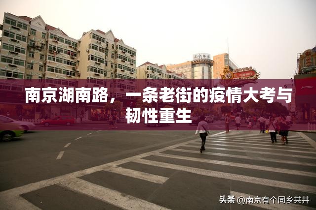 南京湖南路，一条老街的疫情大考与韧性重生