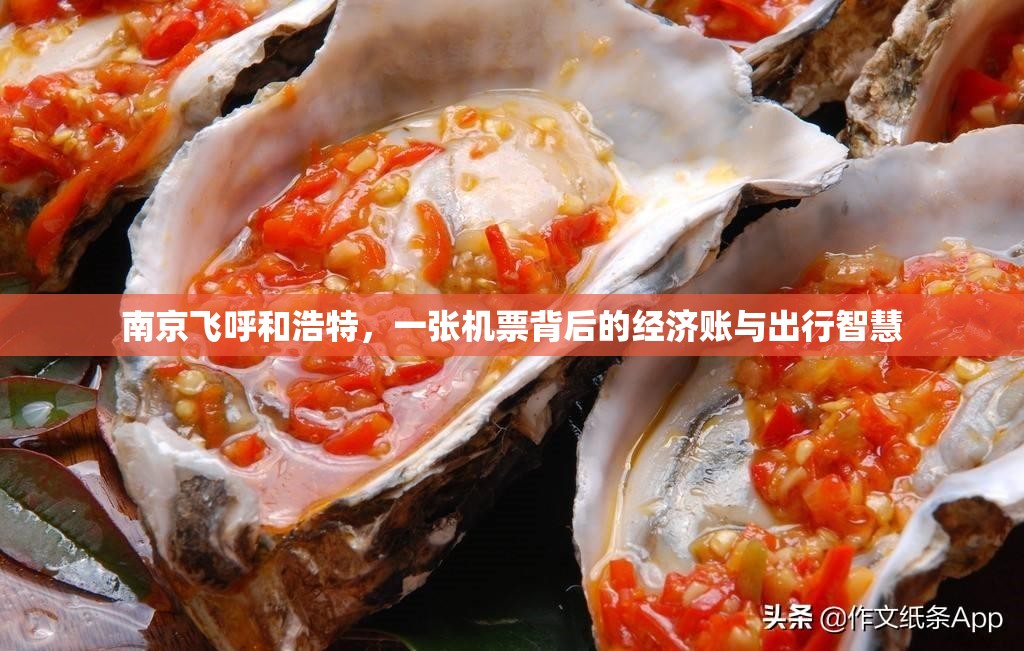 南京飞呼和浩特，一张机票背后的经济账与出行智慧