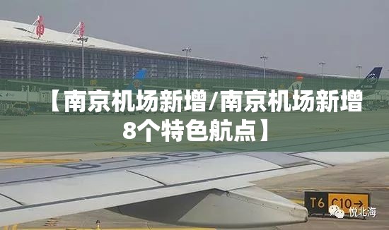 【南京机场新增/南京机场新增8个特色航点】