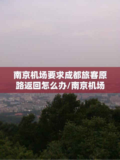 南京机场要求成都旅客原路返回怎么办/南京机场要求成都旅客原路返回