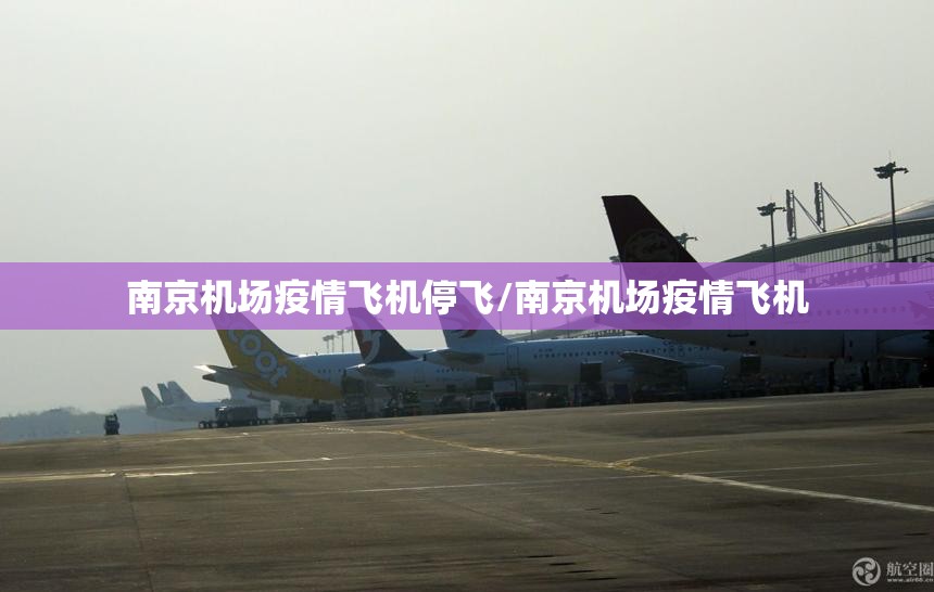 南京机场疫情飞机停飞/南京机场疫情飞机