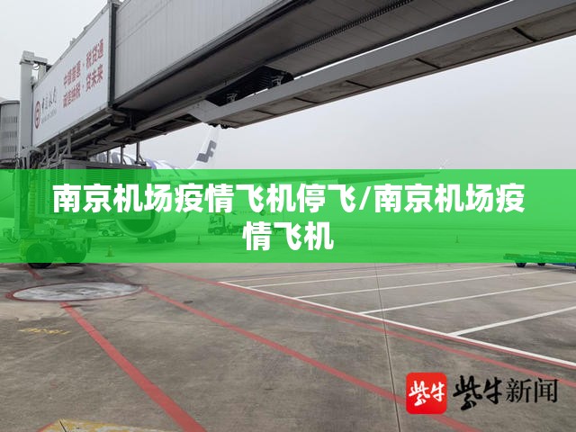 南京机场疫情飞机停飞/南京机场疫情飞机